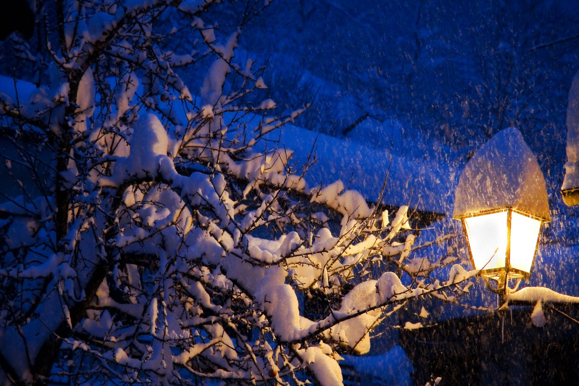 pente arbres hiver toit lanterne lumière neige