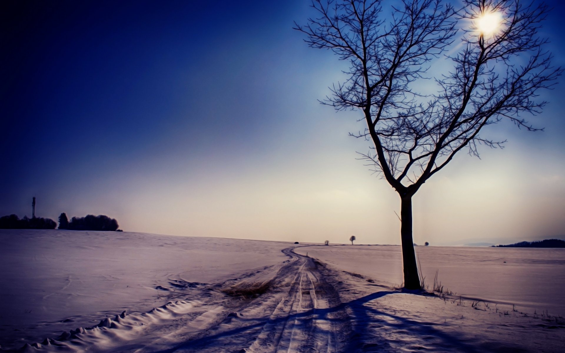 route hiver neige arbre paysage