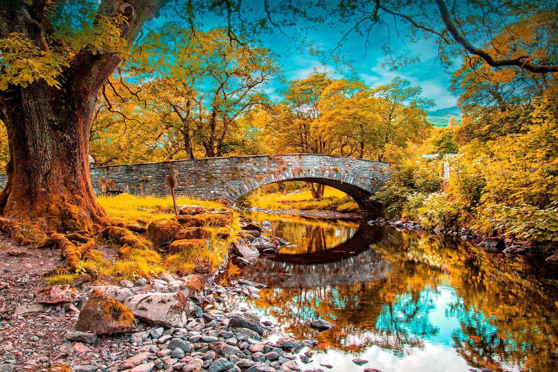 himmel wolken wald park fluss bäume brücke bogen herbst