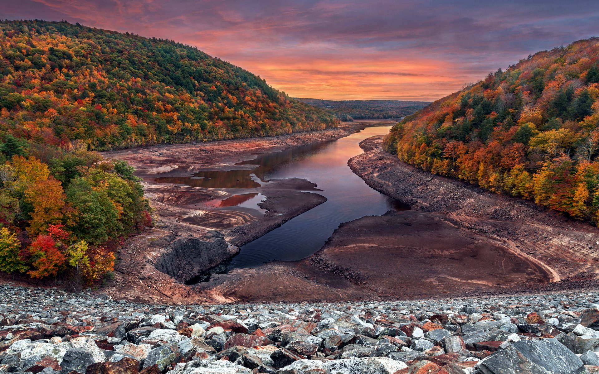 fall autumn leaves color sunset water