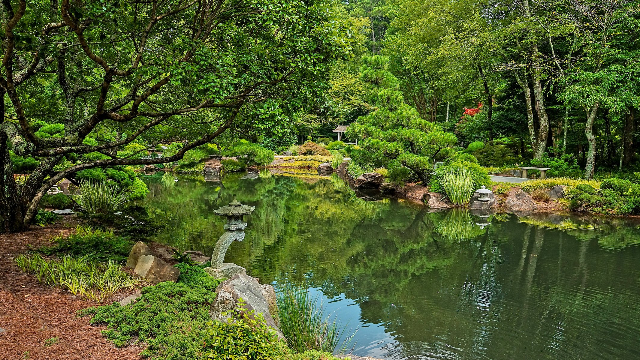 stati uniti parco fiume terra portante giardini gibbs alberi natura foto