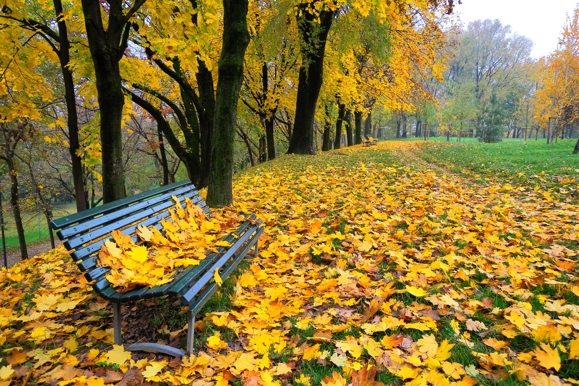 park bäume gasse blätter herbst bank