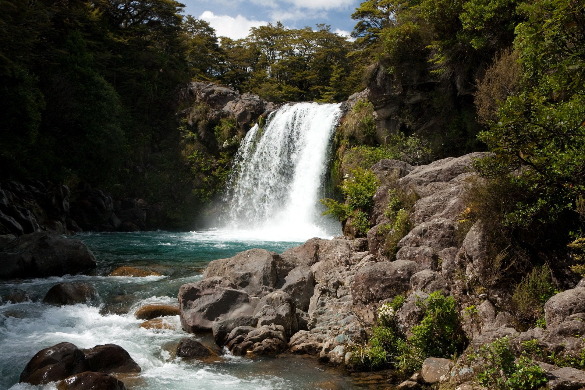 cascada nueva zelanda río rocas bosque rocas