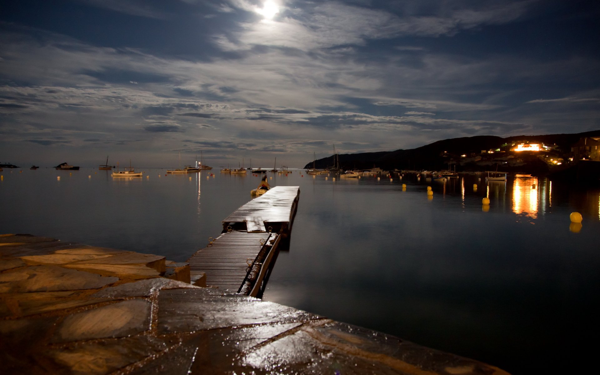 lake bridge night landscape