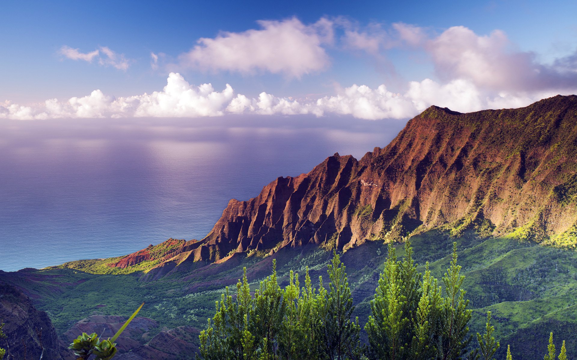 mountain forest sea cloud