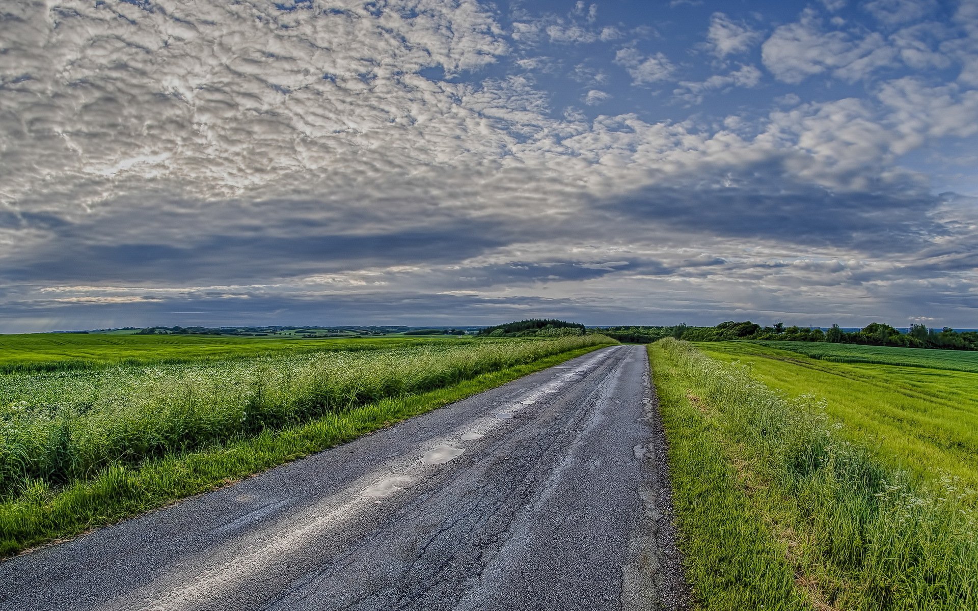 champ route ciel paysage