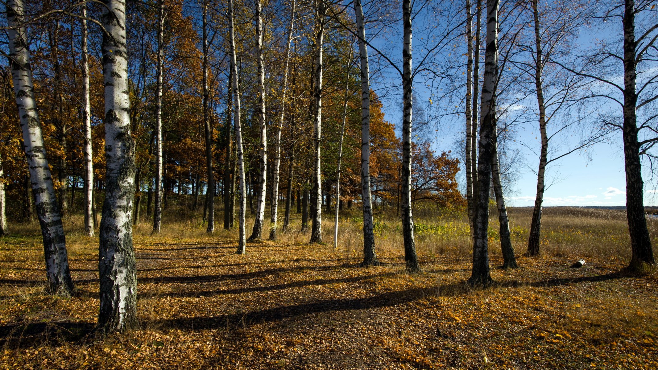 deoevya otoño naturaleza