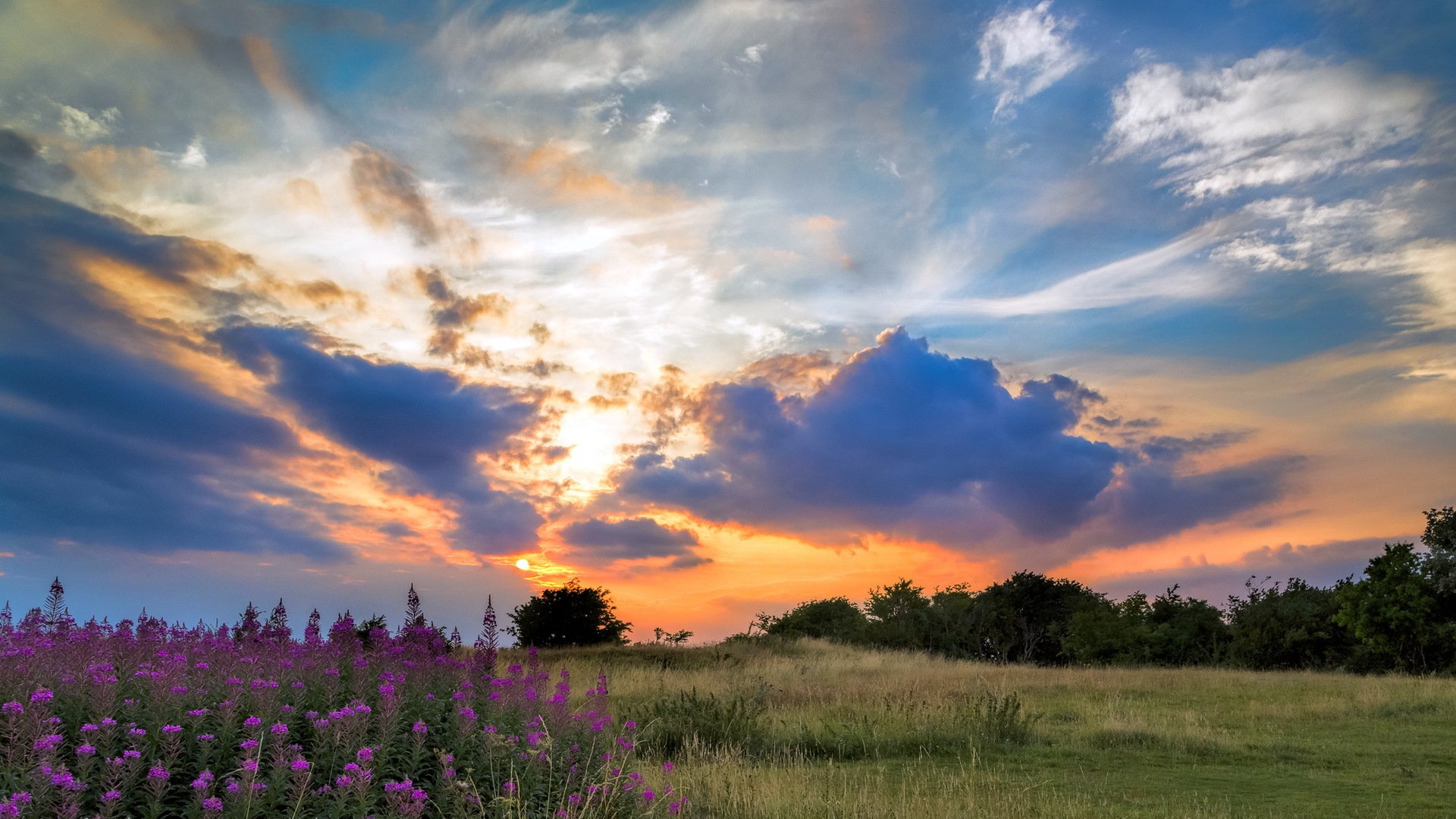 campo puesta de sol paisaje