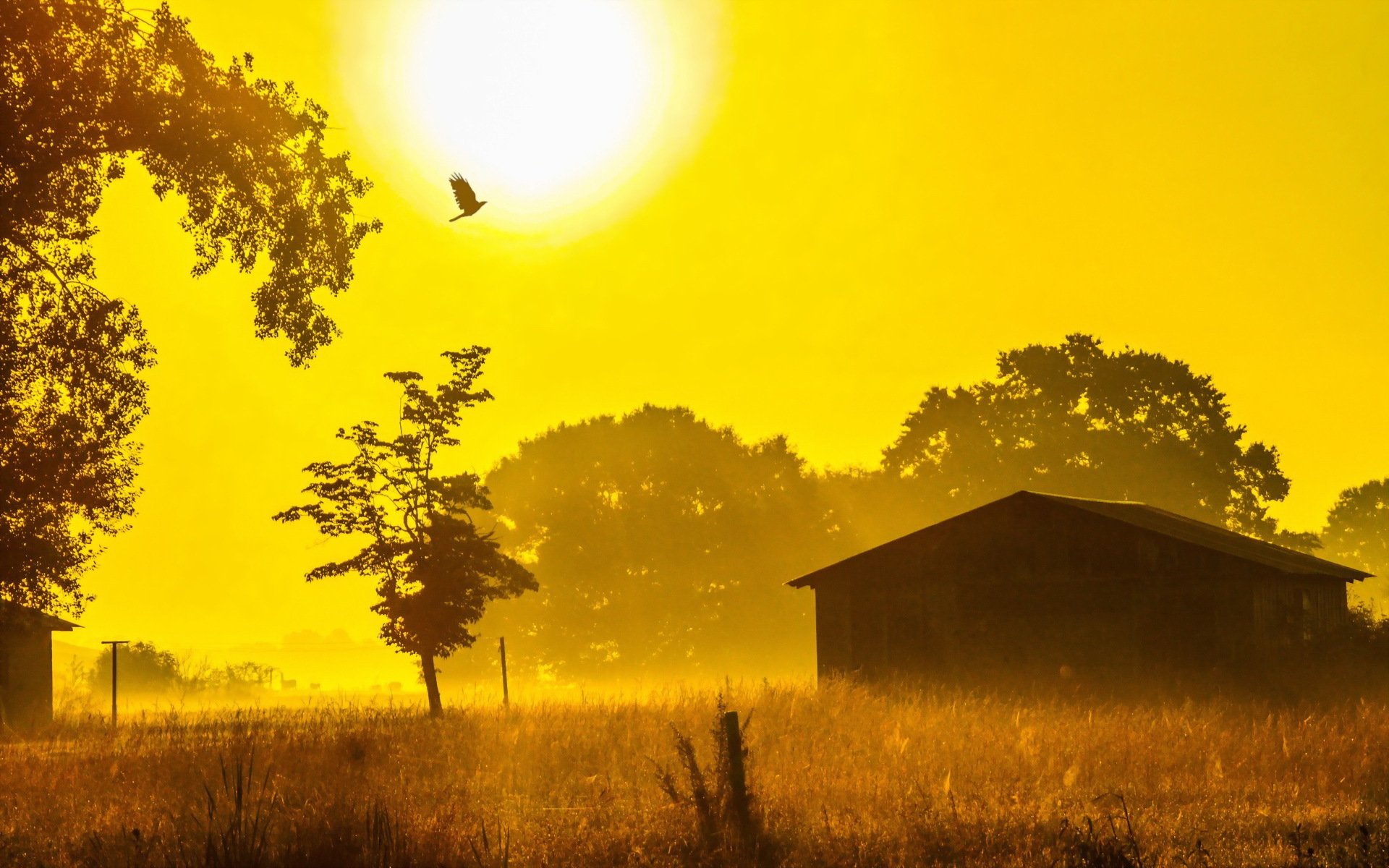 sonnenuntergang natur haus landschaft