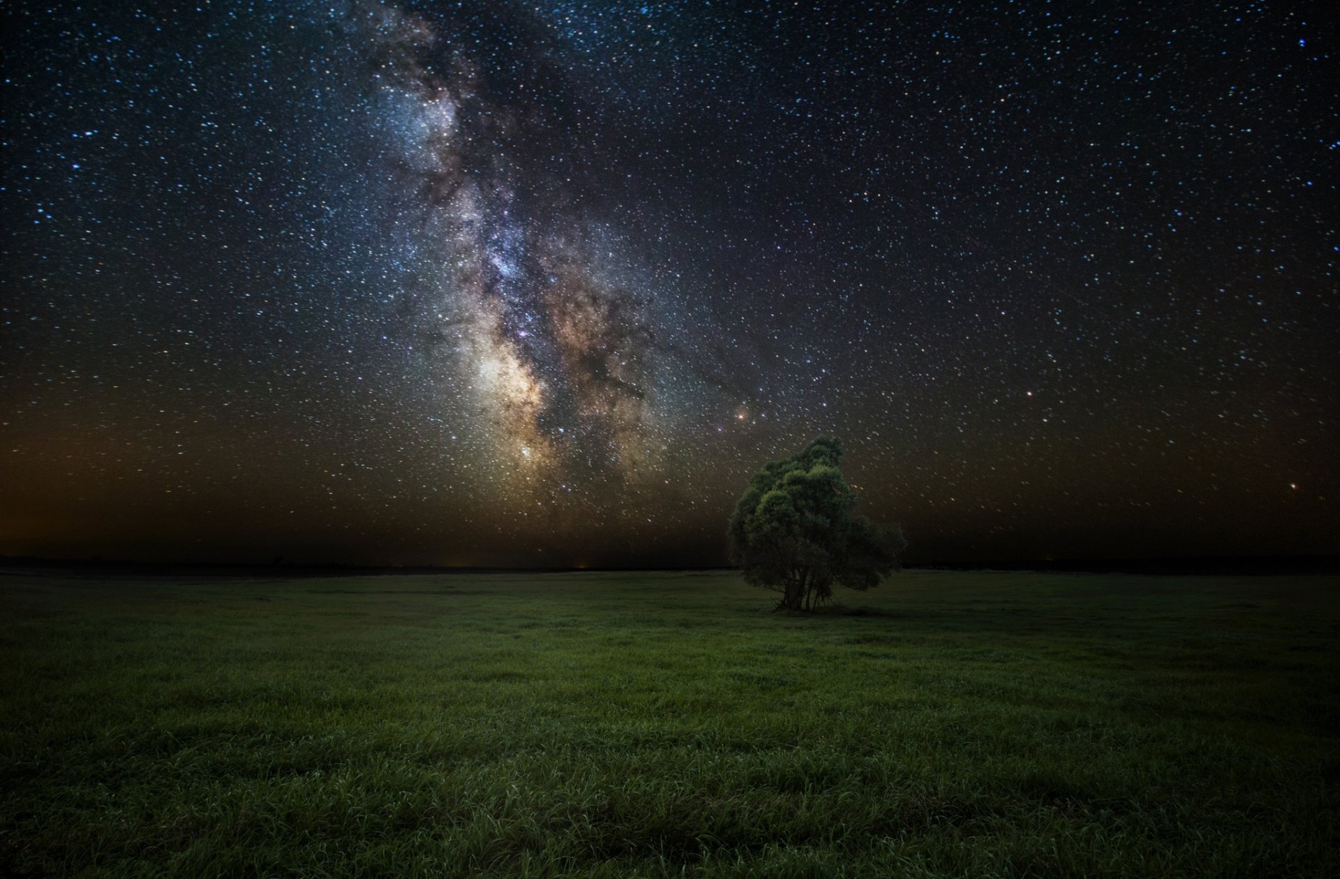 notte stelle cielo via lattea campo albero