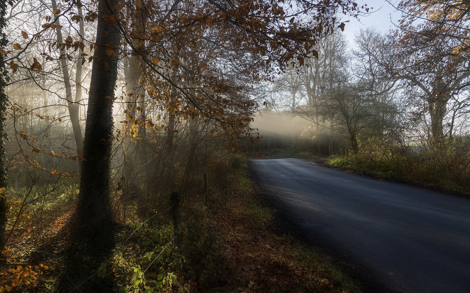 matin automne route