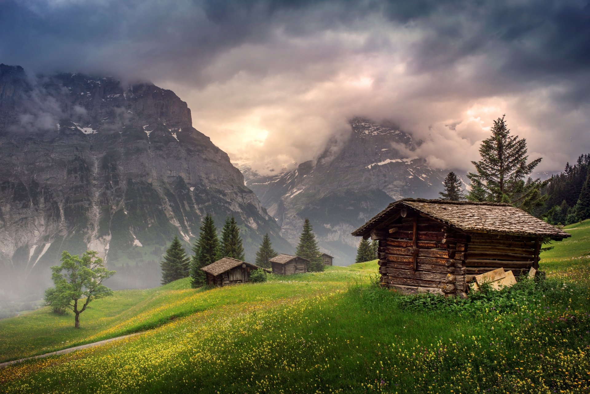 grindelwald svizzera valle