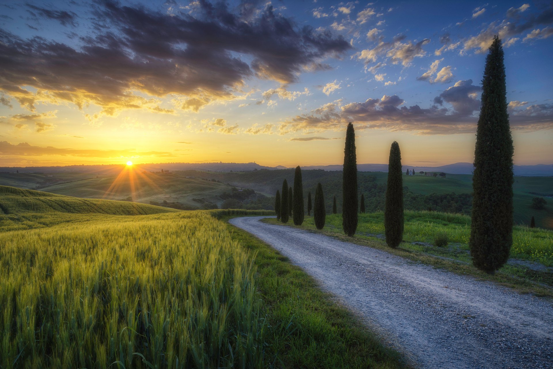 italy tuscany morning sun rays light of the field road tree cypre