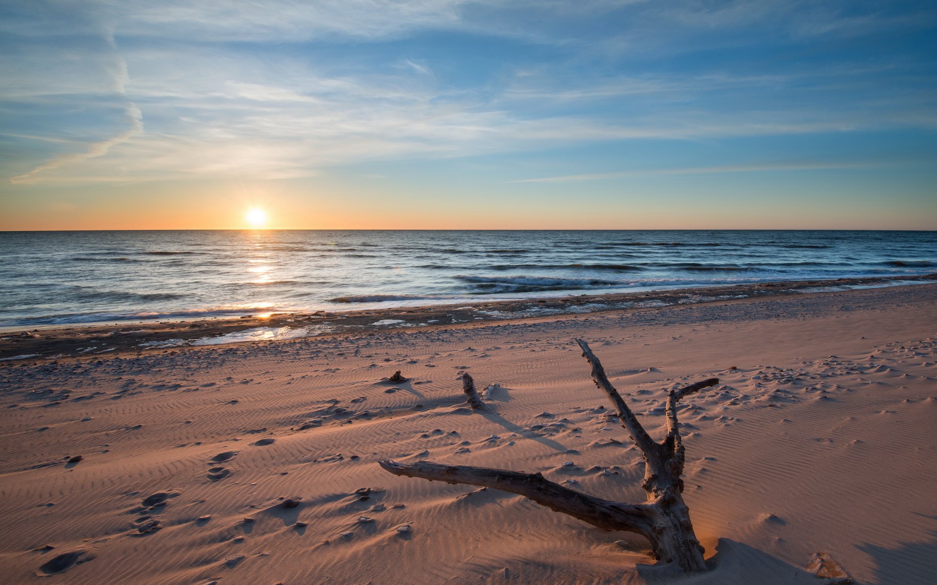 mare tramonto albero spiaggia paesaggio