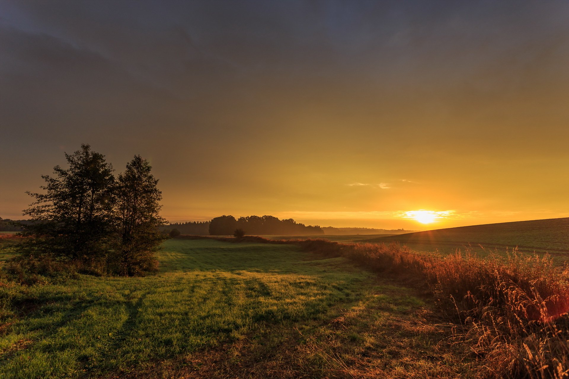 feld sonnenuntergang landschaft