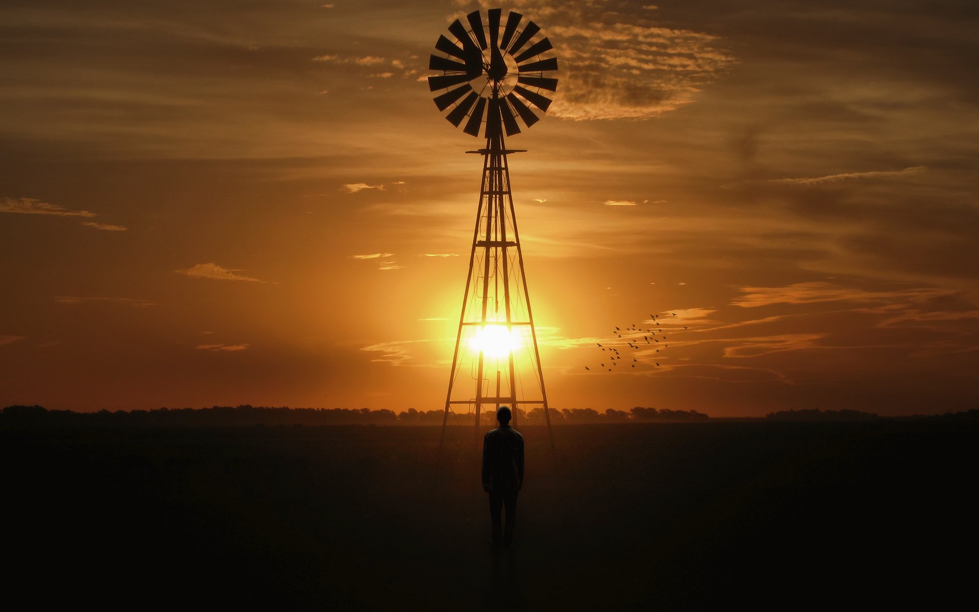 paisaje molino puesta de sol hombre sol aves