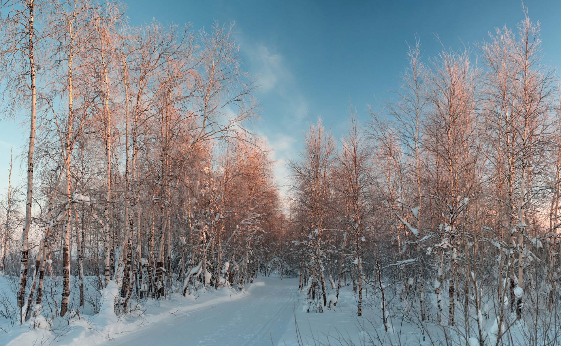 schnee winter