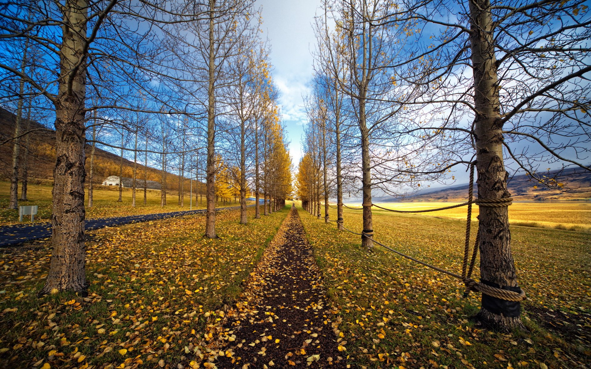 strada autunno natura