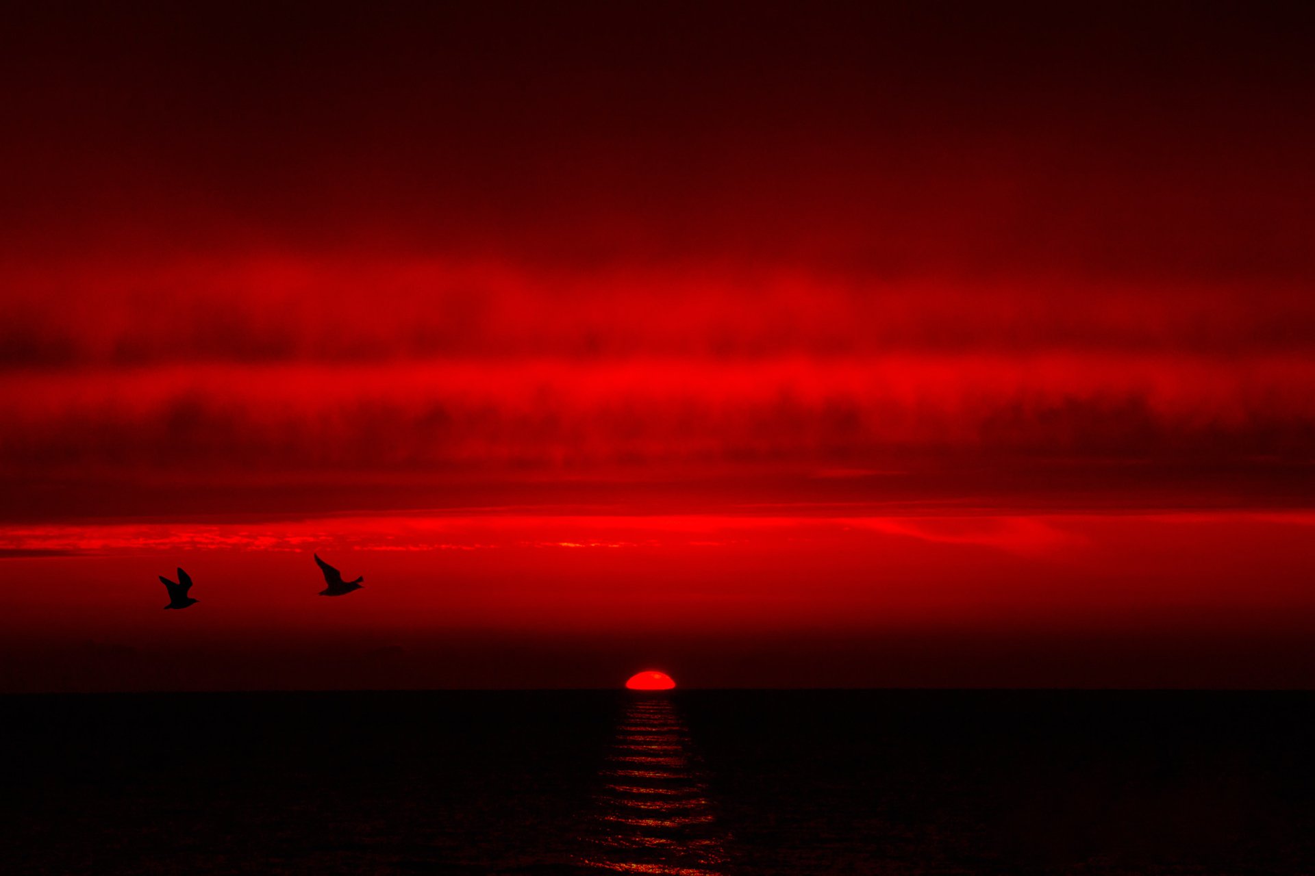 ciel nuages coucher de soleil mer oiseaux