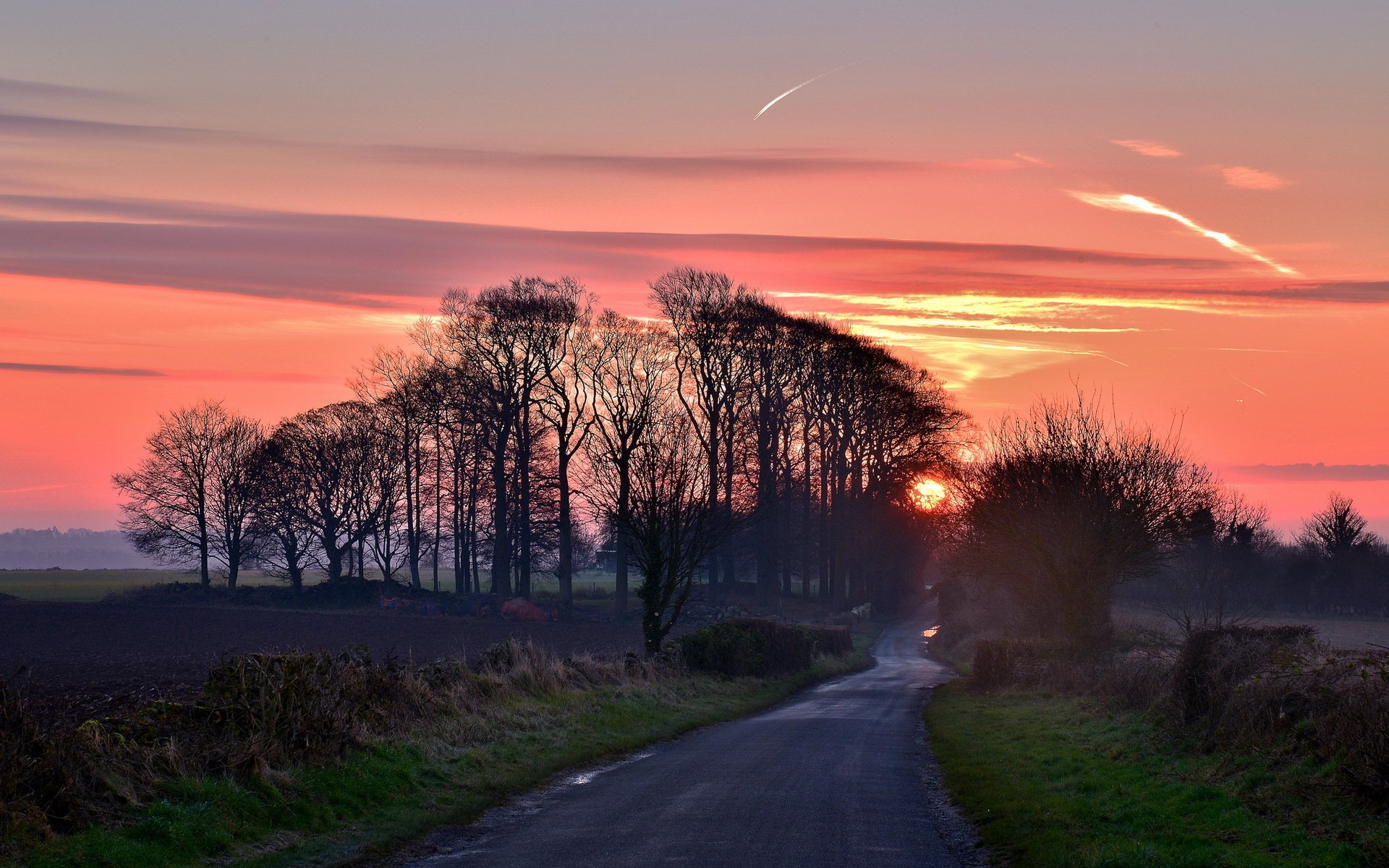 matin route paysage