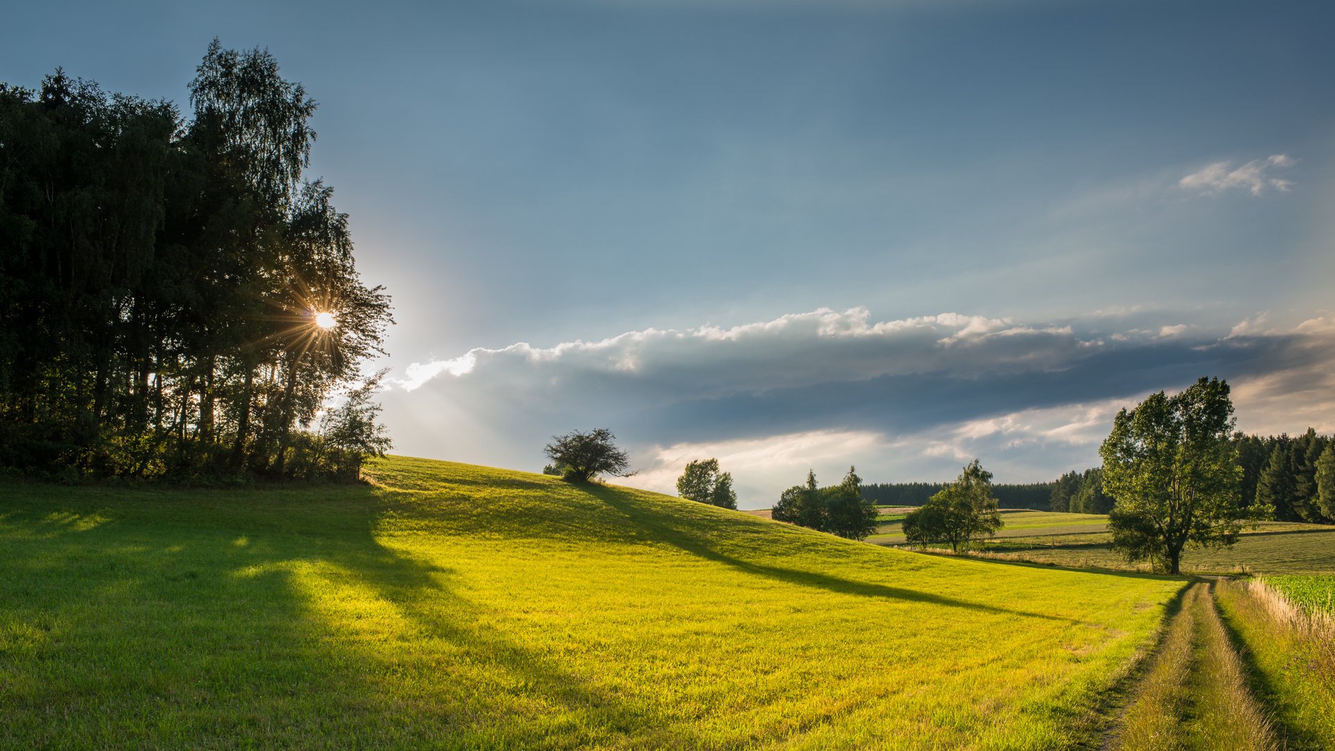 matin champ route paysage