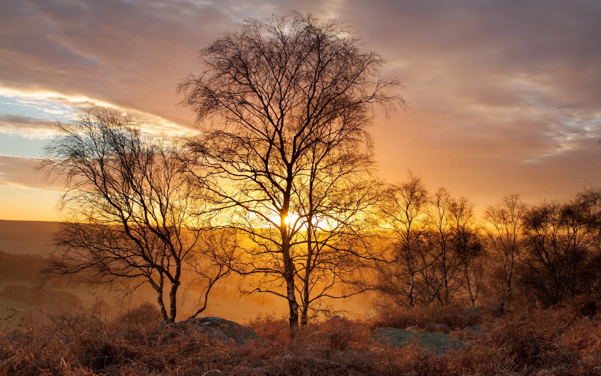 złote brzozy krawędź gardom peak district wielka brytania krajobraz światło