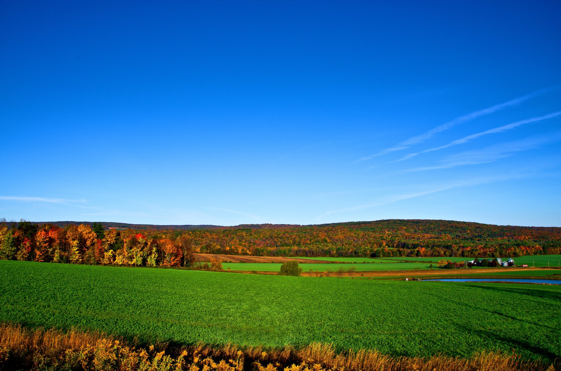 ciel horizon forêt arbres champ automne