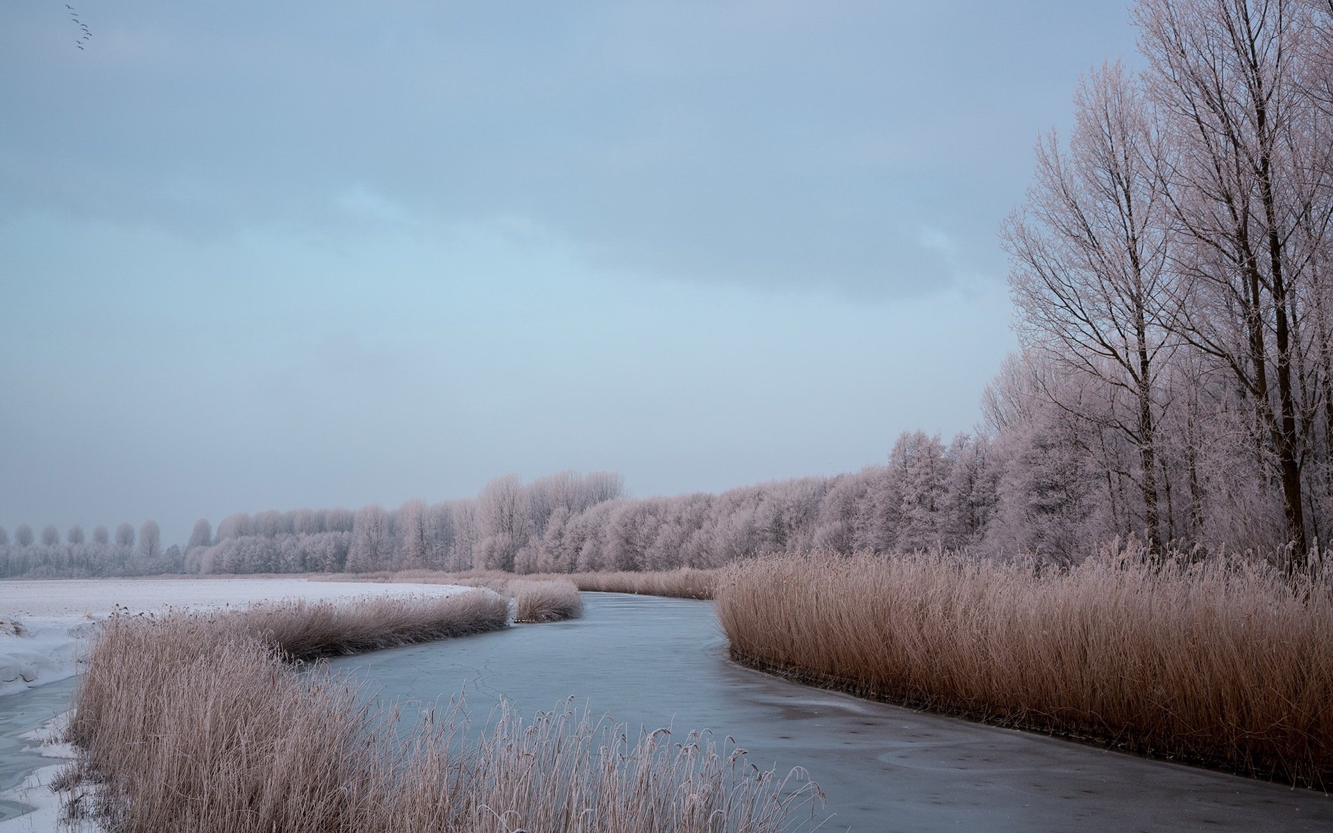 fluss winter natur