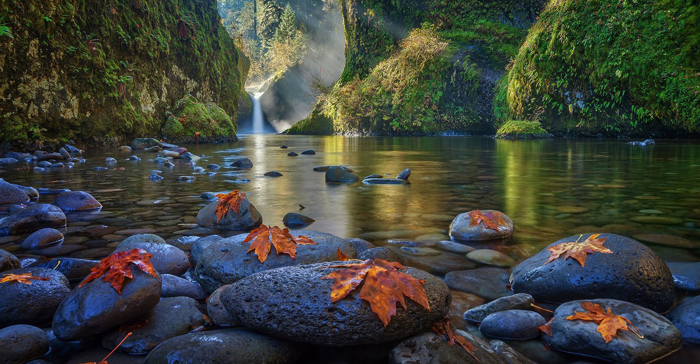 montañas lago bosque árboles agua piedras hojas