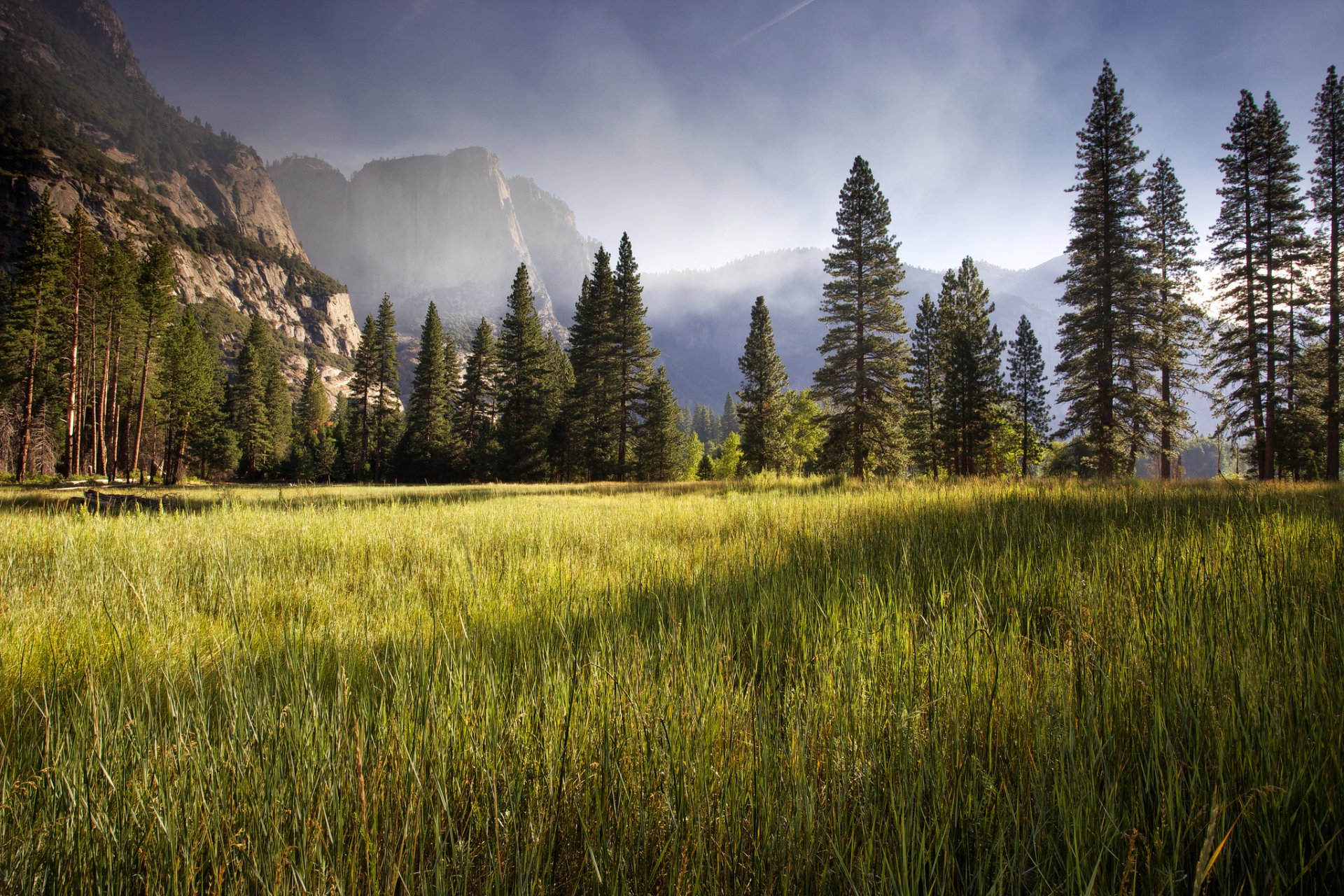 meadow yosemite temprano en la mañana