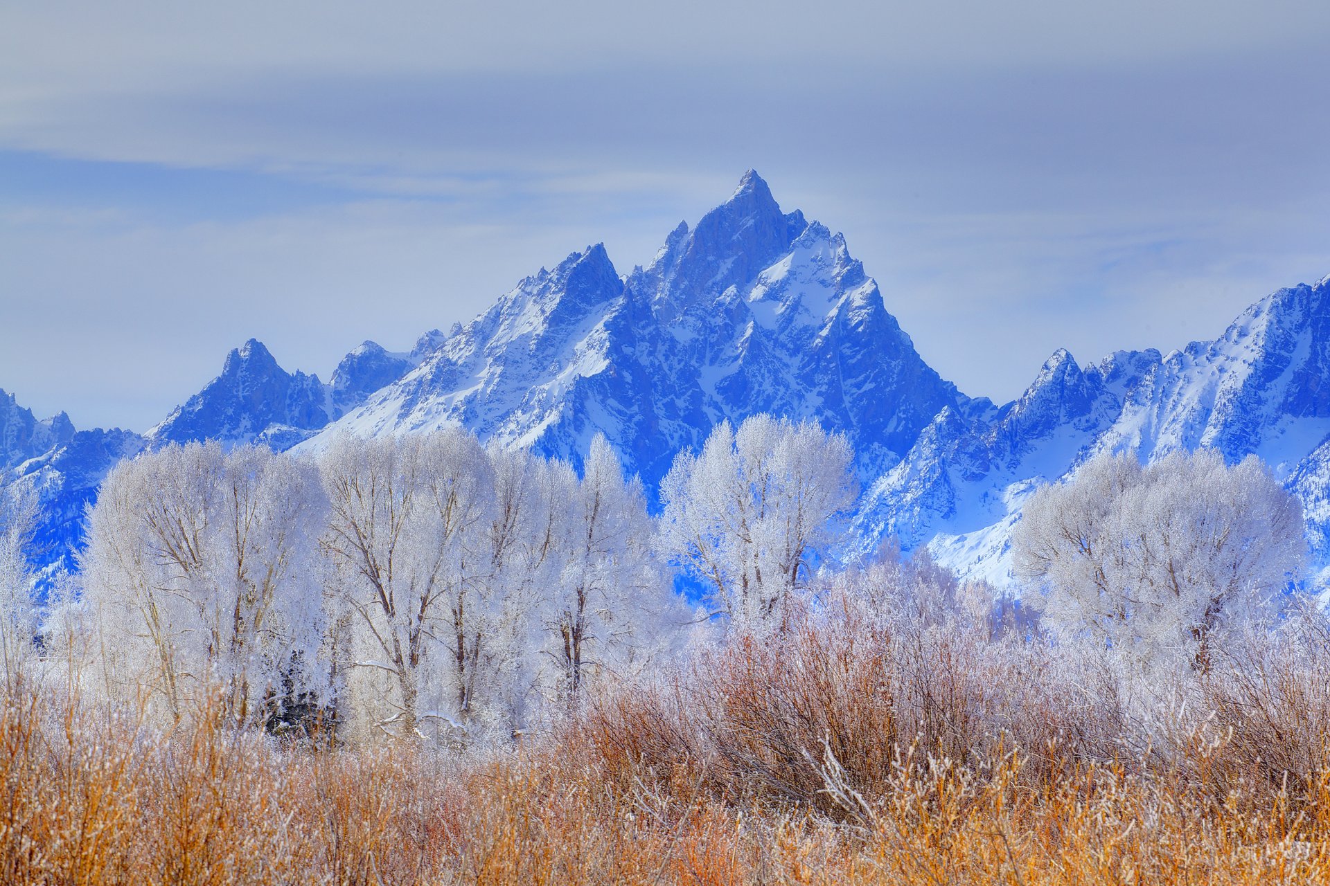 grand teton national park wyoming usa ciel arbres hiver neige givre montagnes