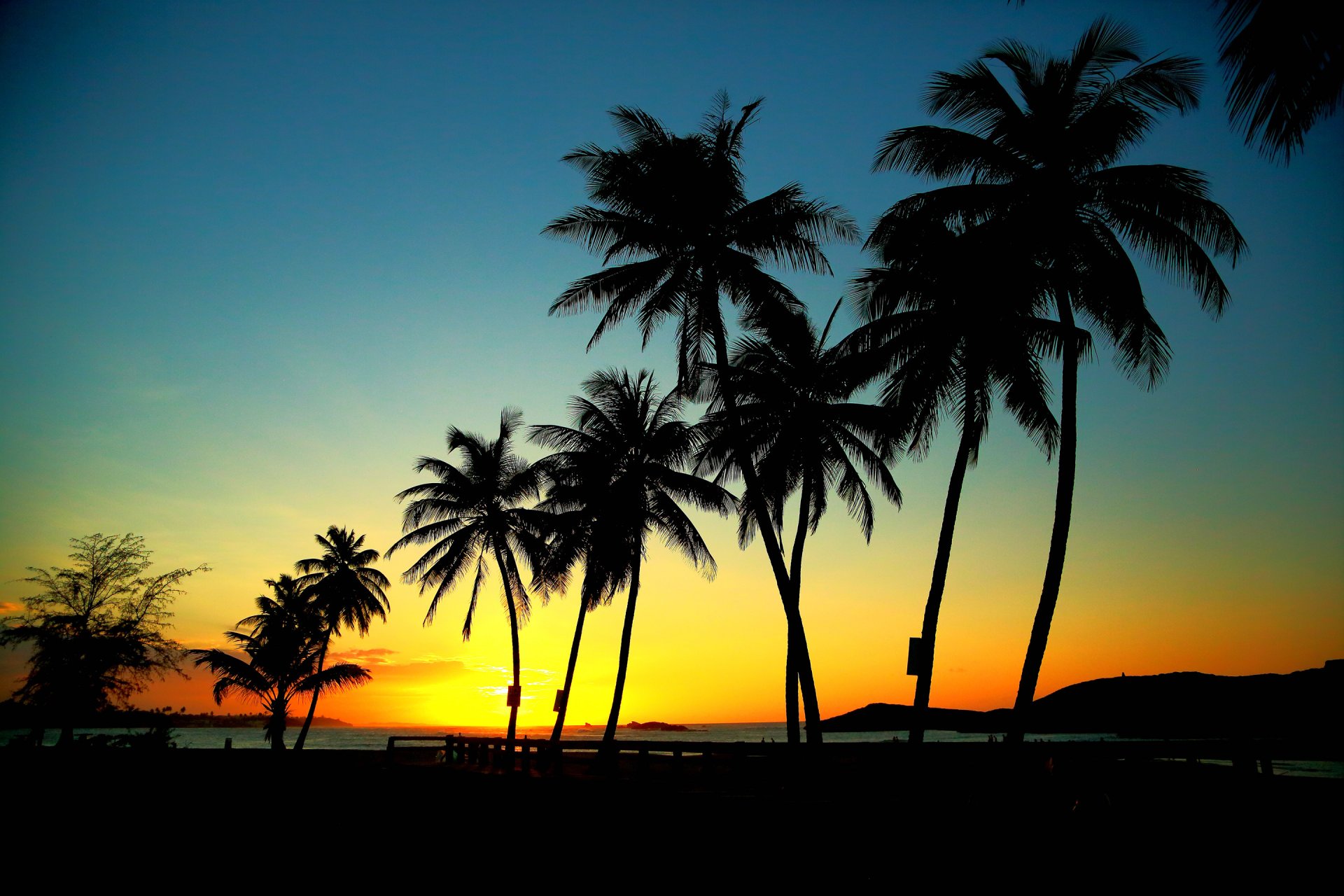 cielo montañas mar puesta de sol palmeras