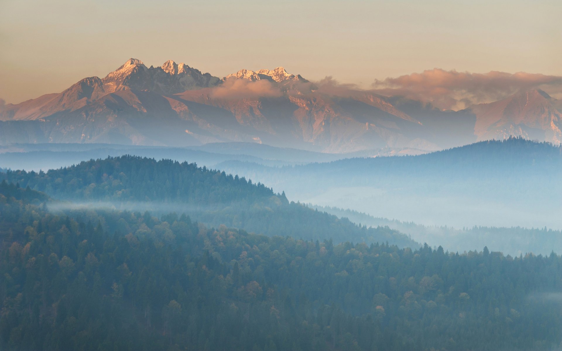 landscape mountain forest panoramma