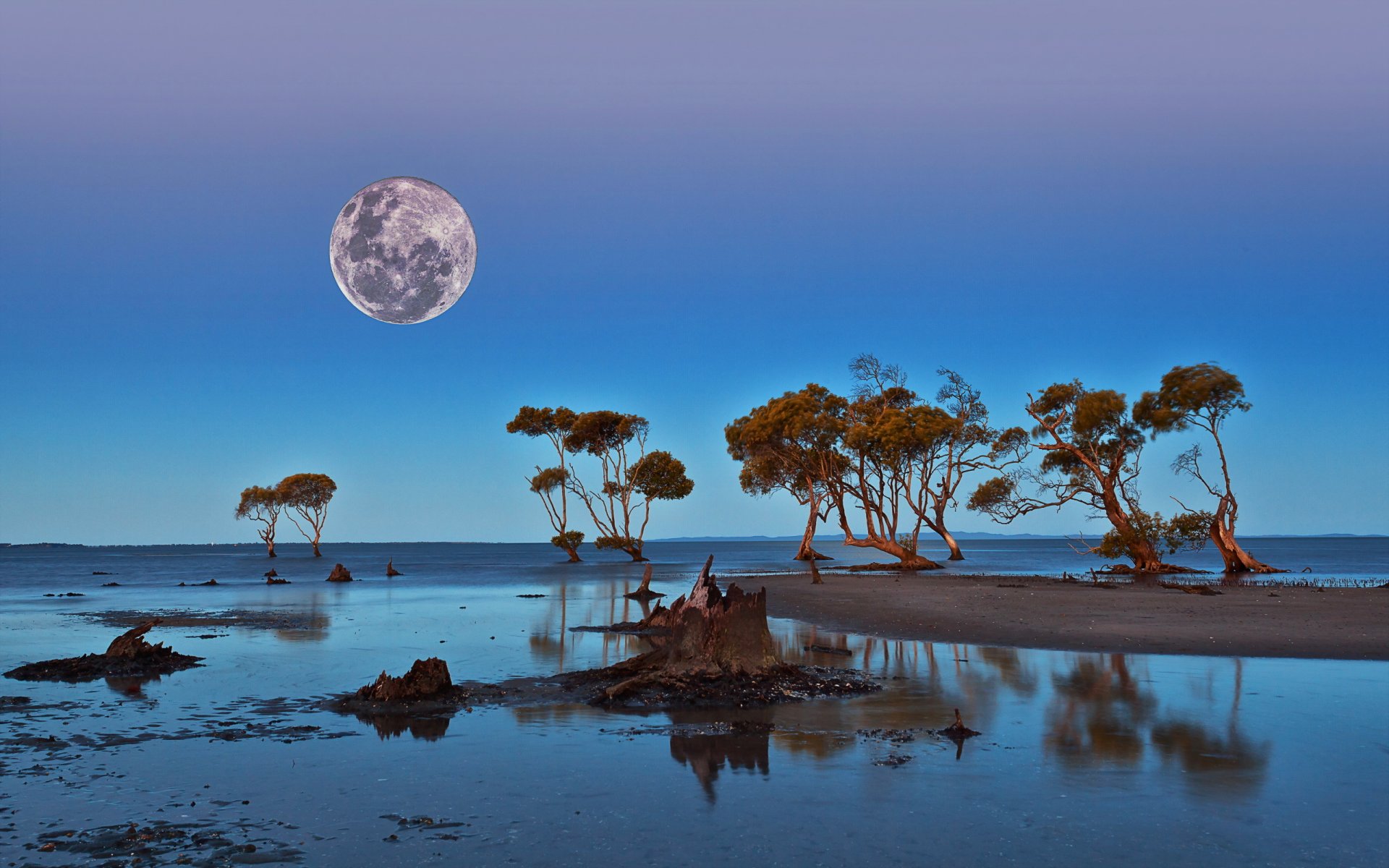 cielo luna natura paesaggio