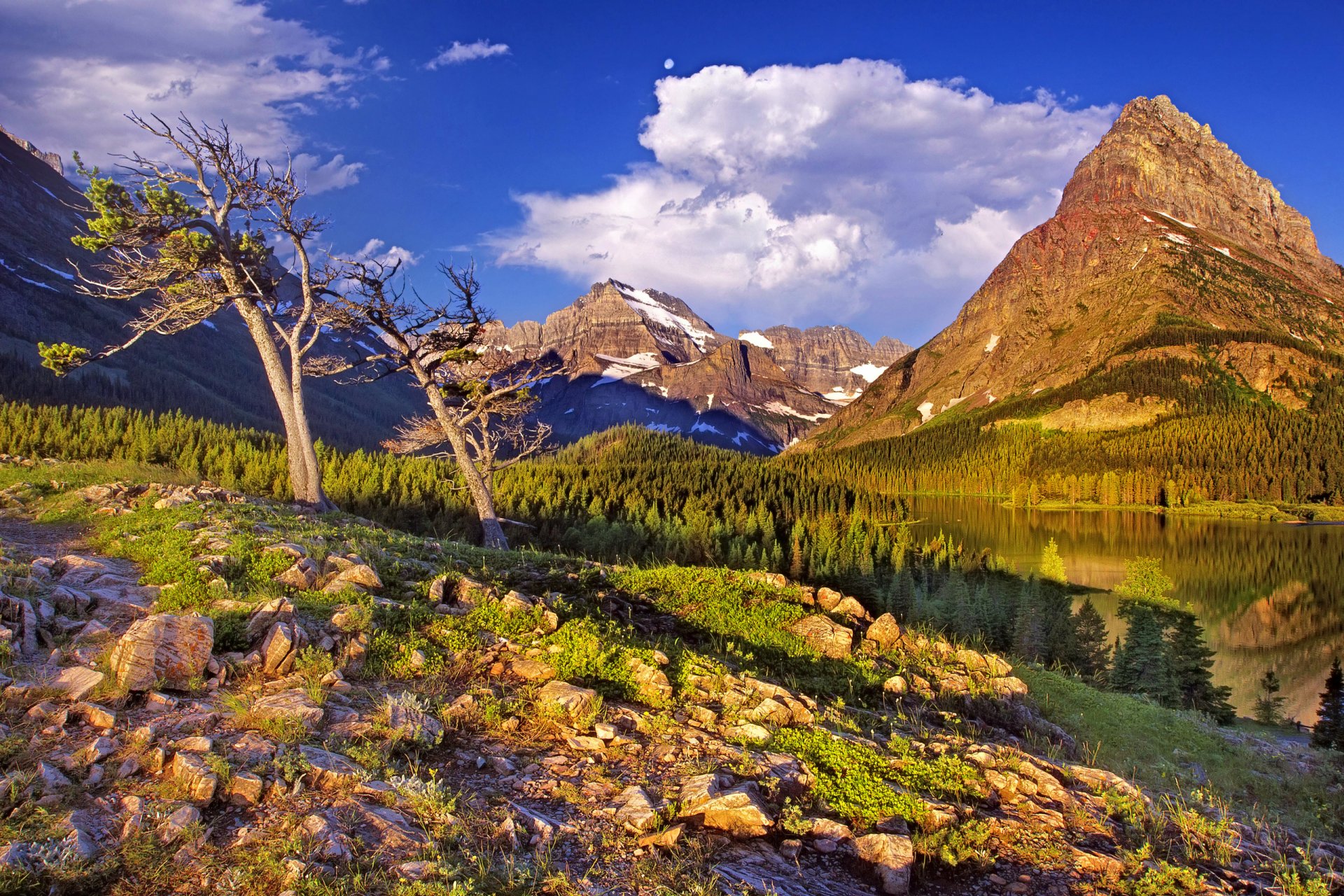 glacier national park berge himmel bäume wald see steine gras wolken schnee