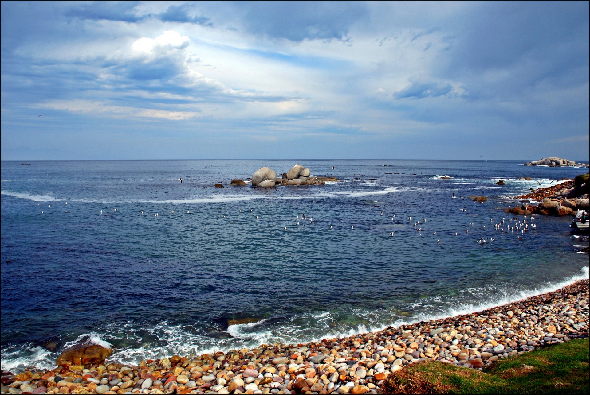 mare spiaggia rocce uccelli