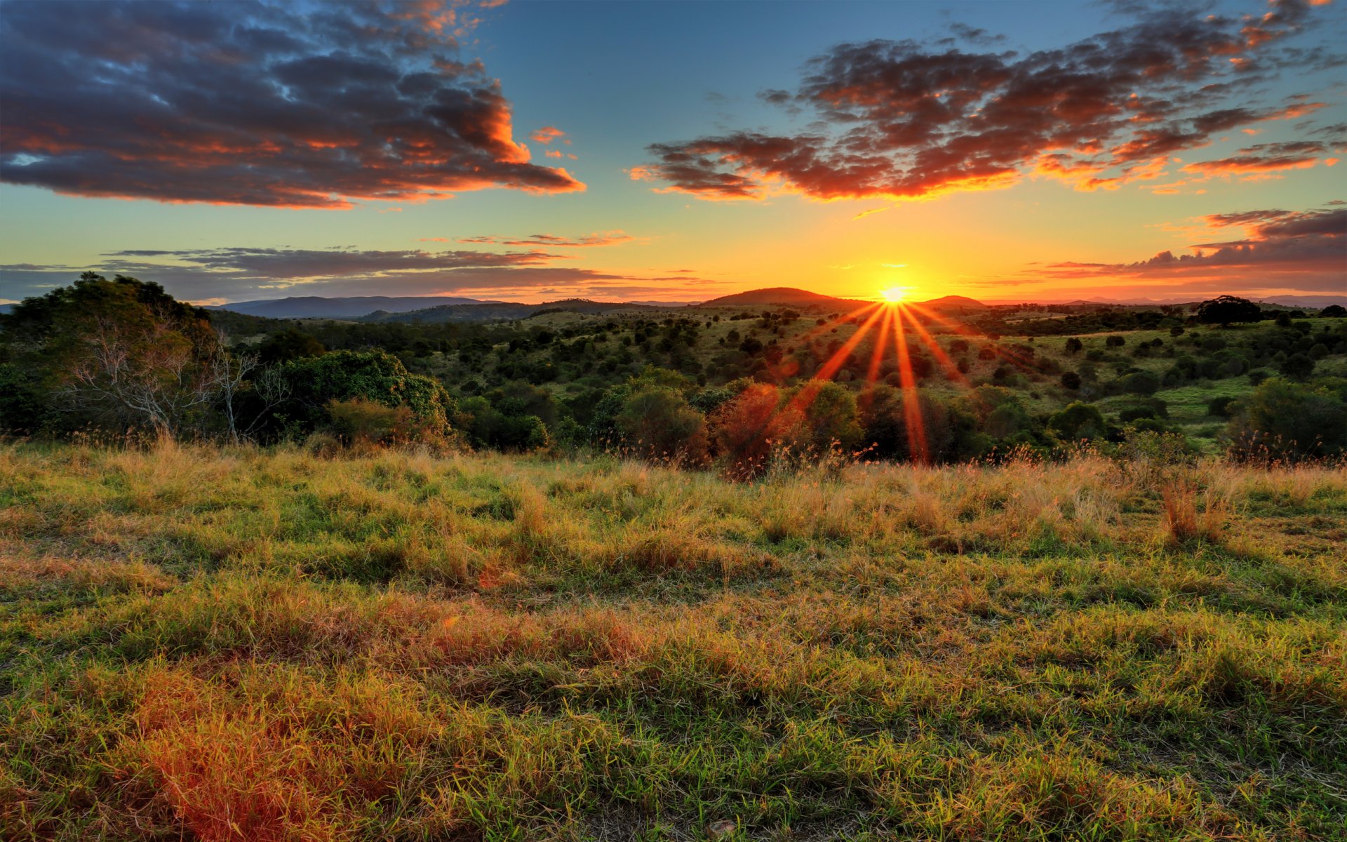 campo erba alberi sole raggi tramonto nuvole