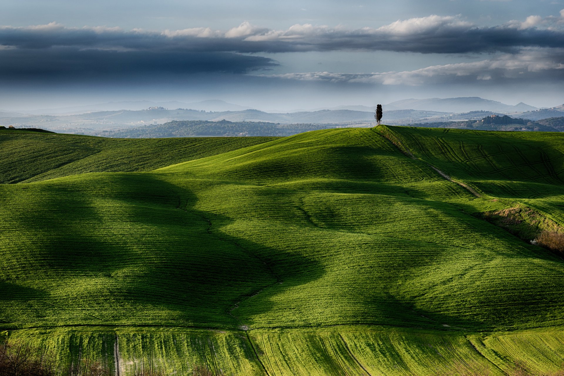 italien toskana felder baum himmel wolken