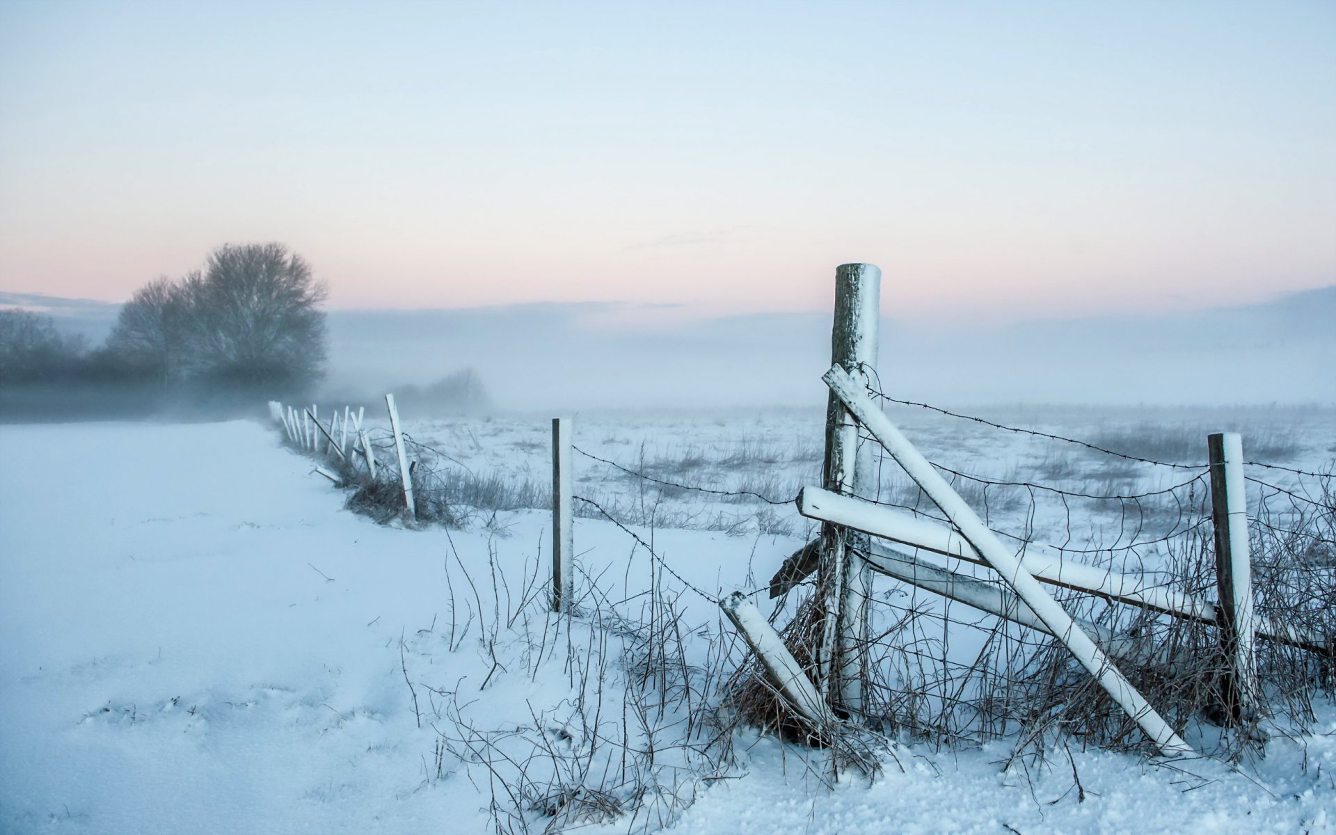 mañana campo niebla paisaje nieve cerca