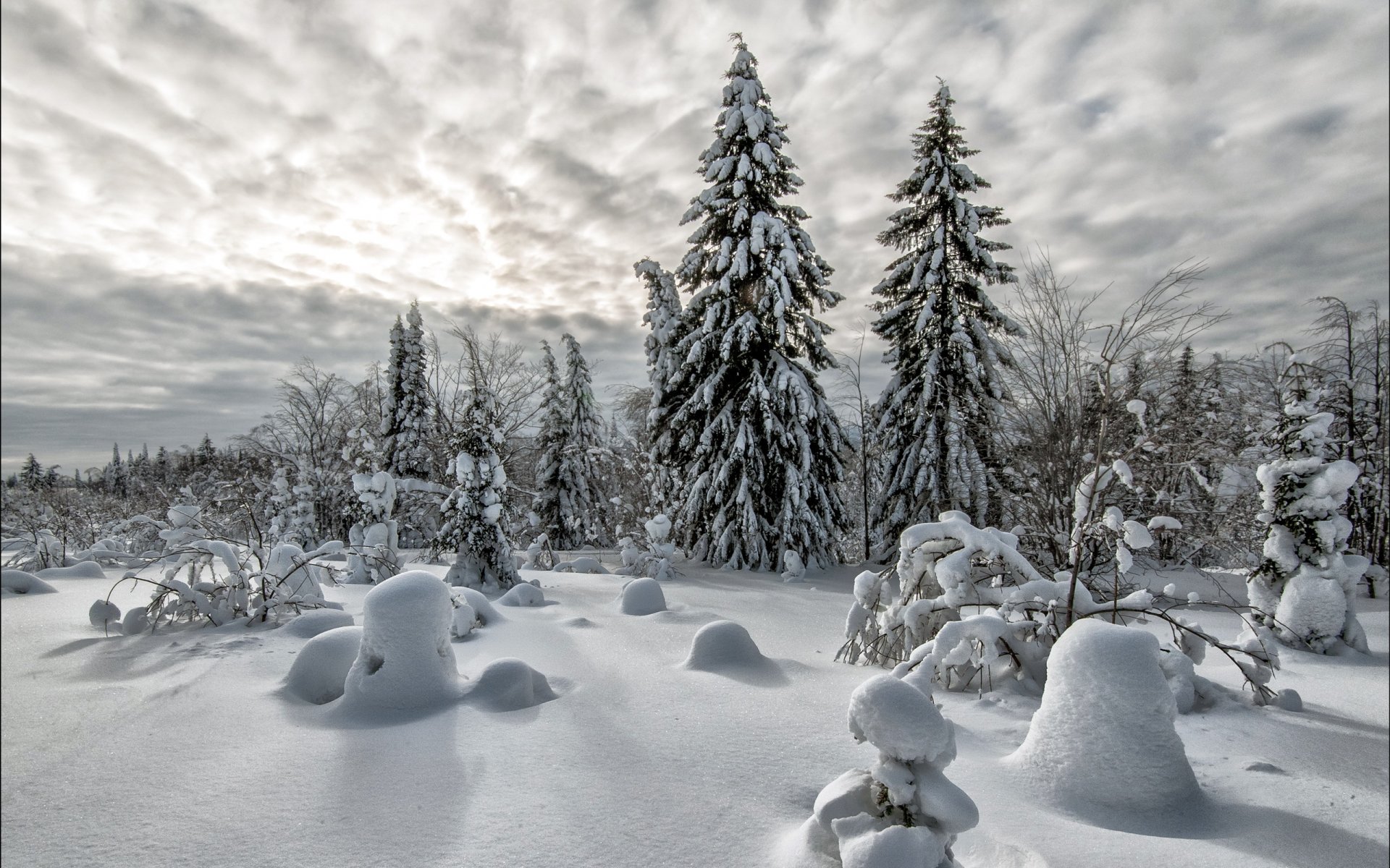 invierno nieve paisaje