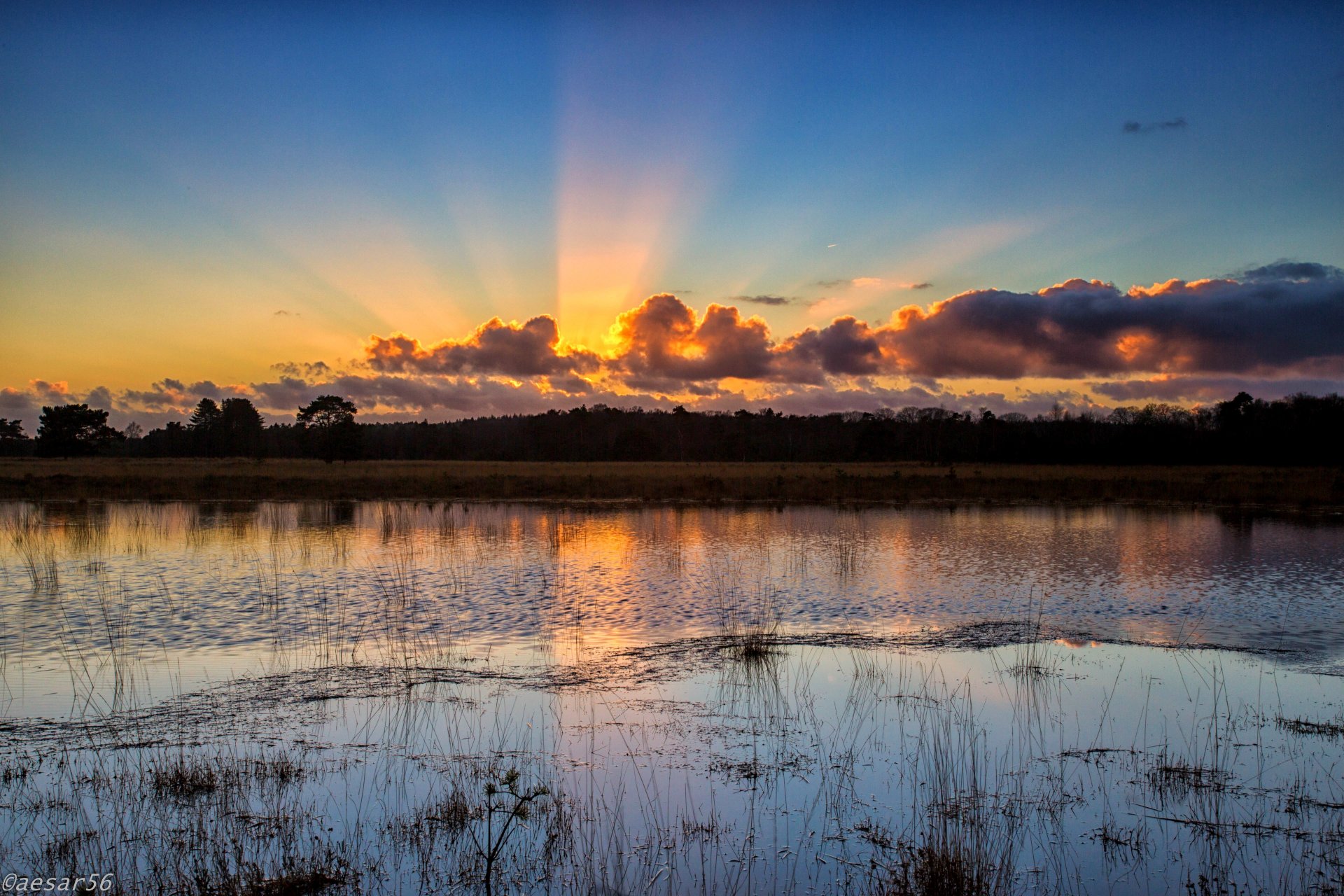 lago acqua alberi cielo nuvole sole tramonto