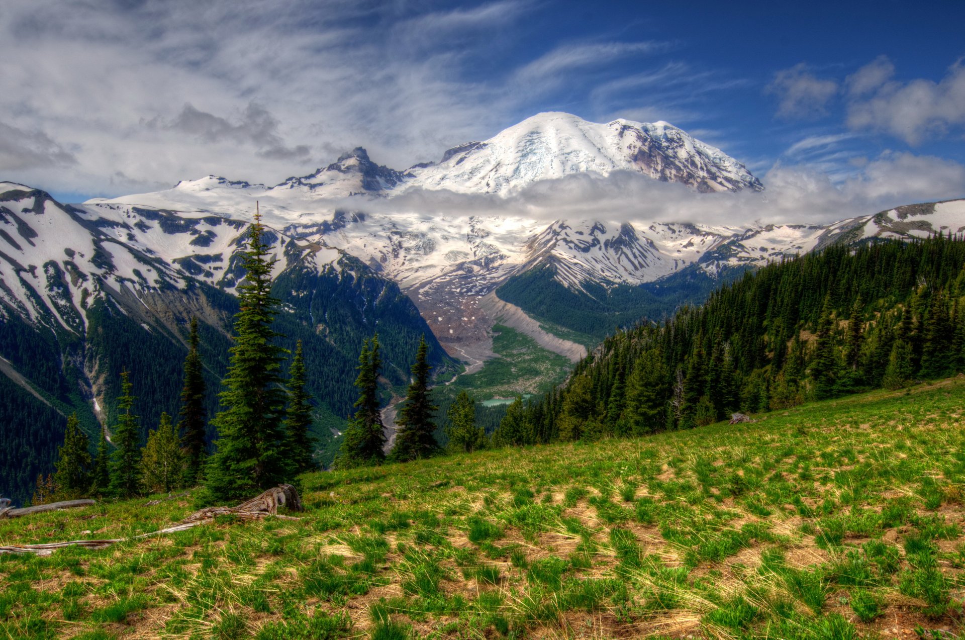 parco montagne paesaggio mf rainier washington erba hdr natura