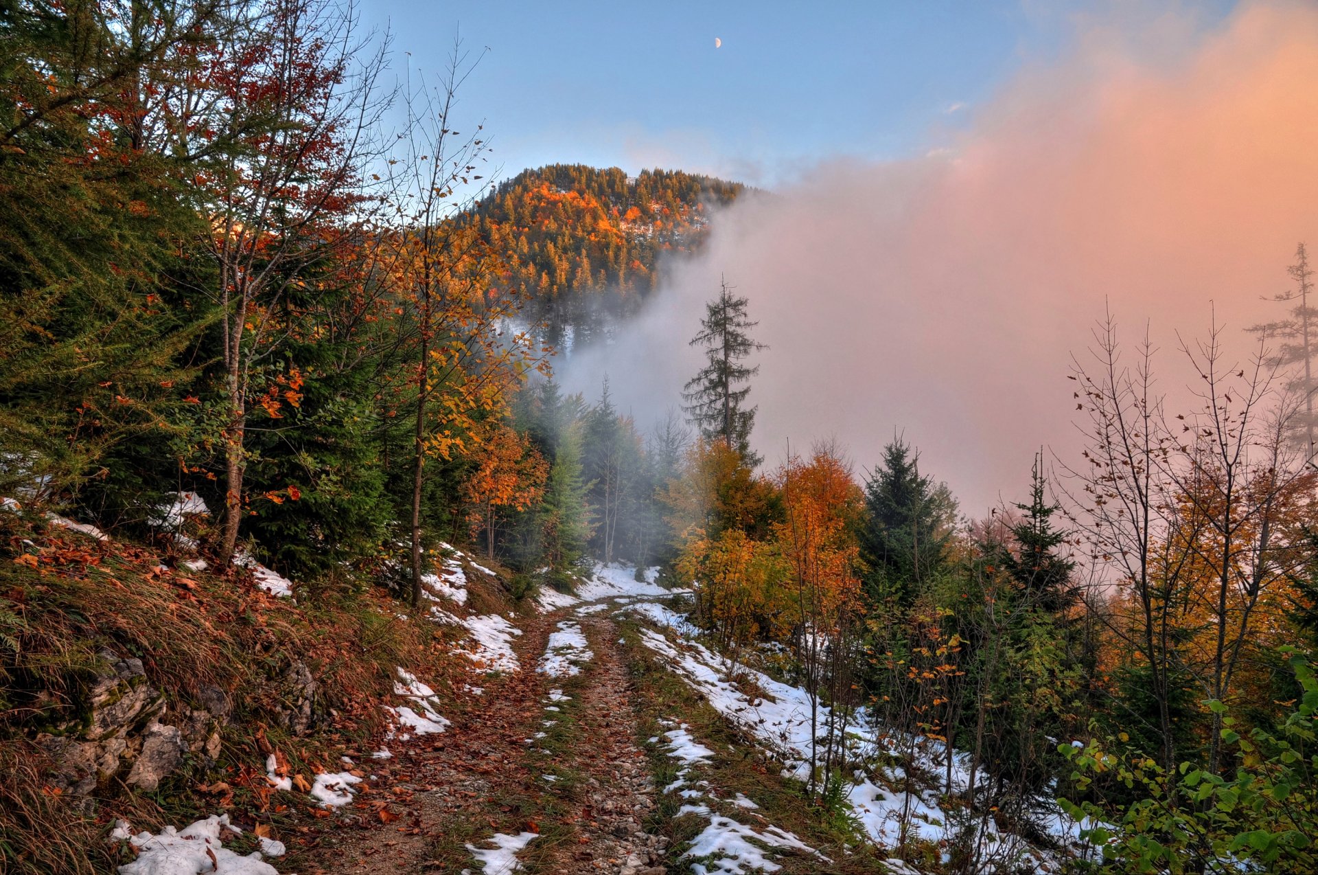 ciel lune brouillard automne neige forêt montagnes route arbres