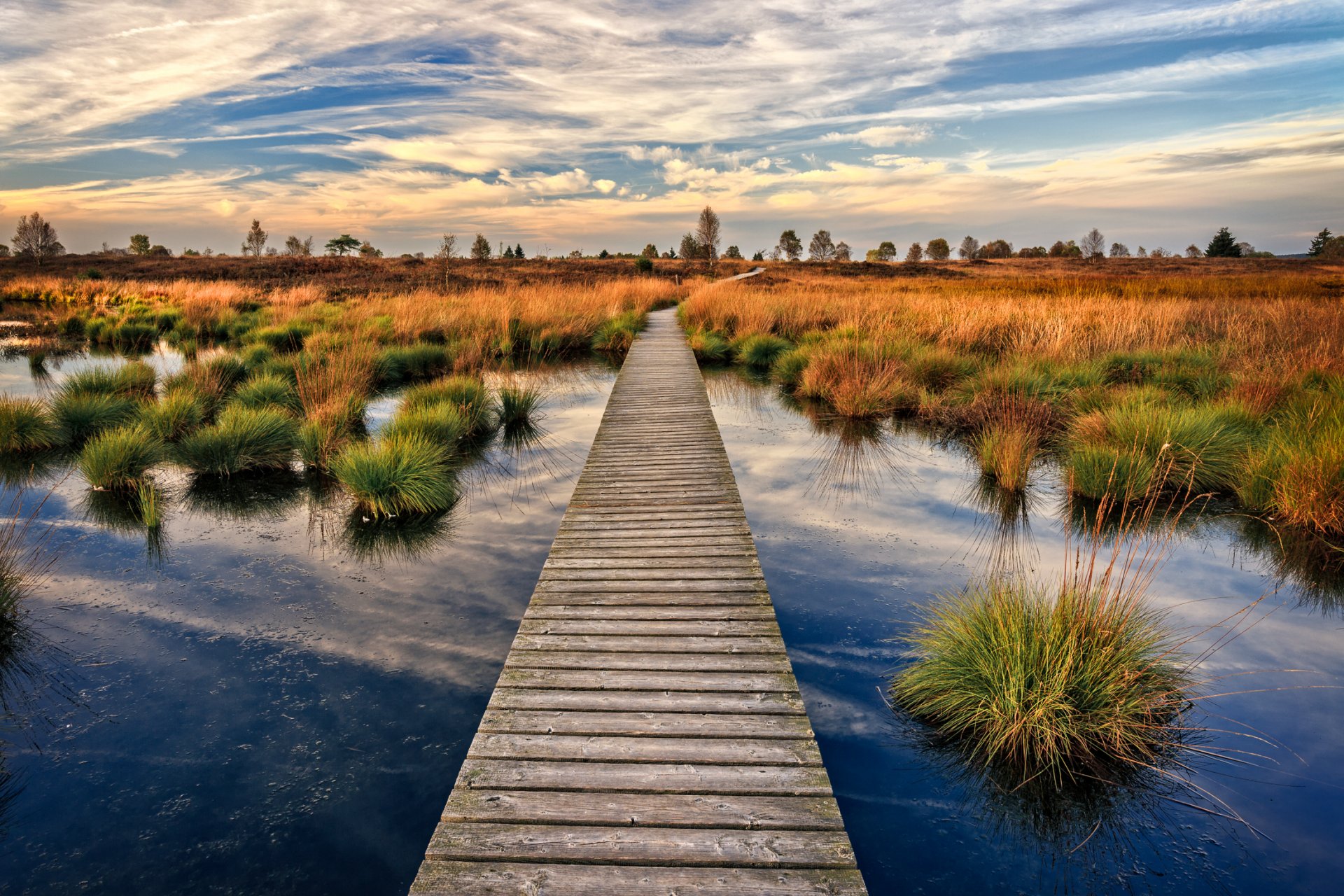 lac bosses pont en bois automne belgique