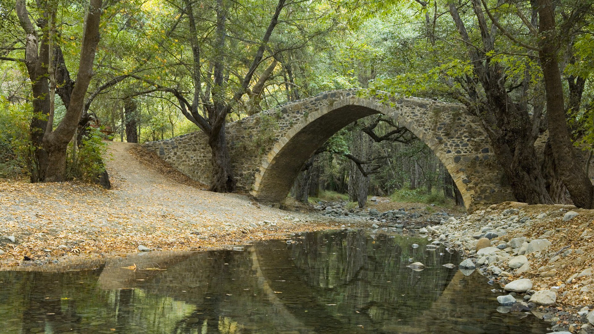 wald bäume fluss bach brücke blätter steine reflexion park