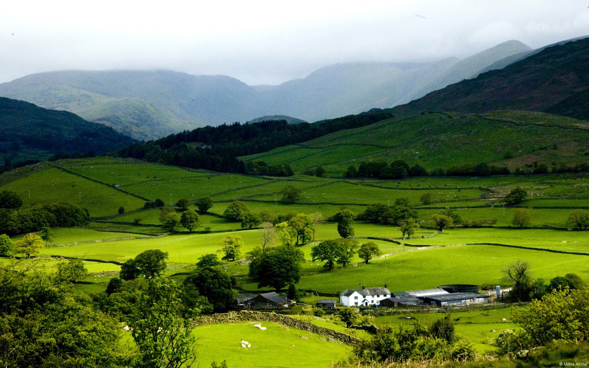 gran bretaña campo hierba