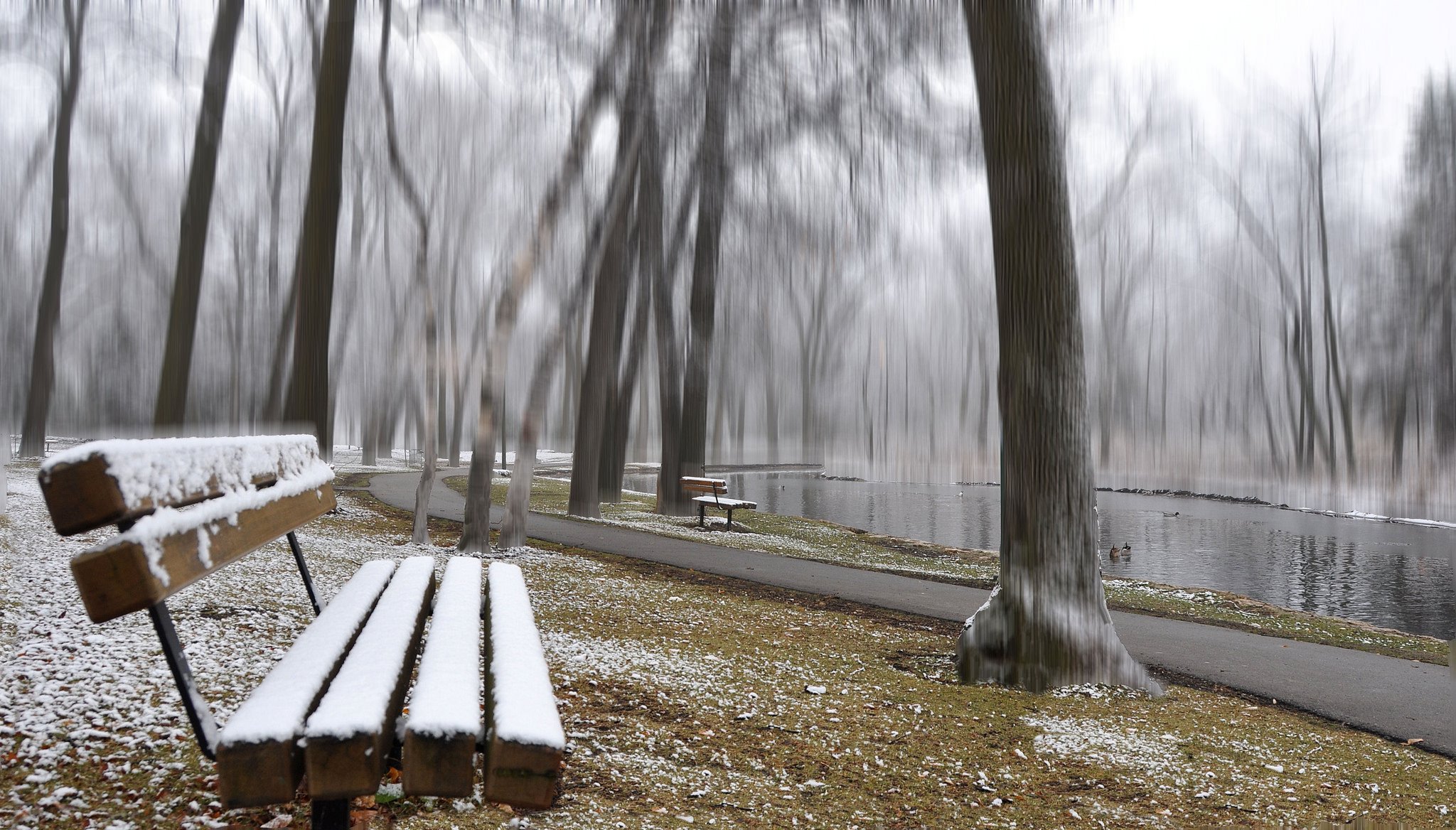 parque estanque camino banco árboles otoño nieve