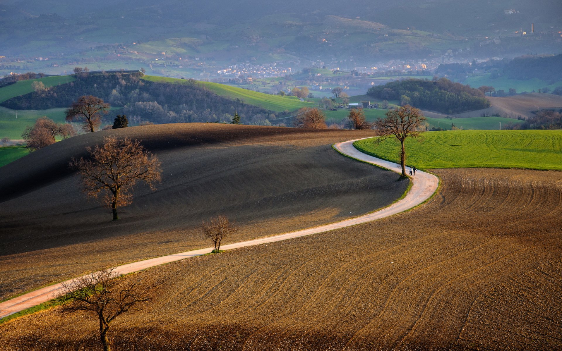 straße feld landschaft natur