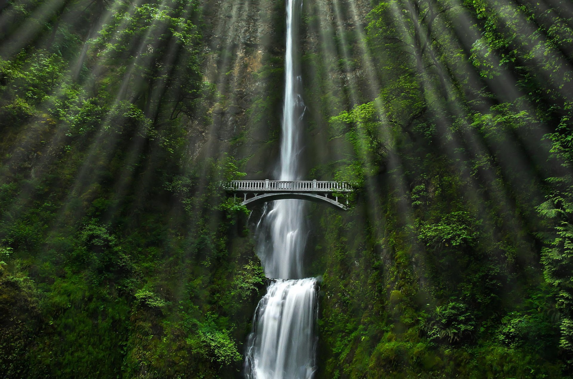 bosque puente cascada naturaleza