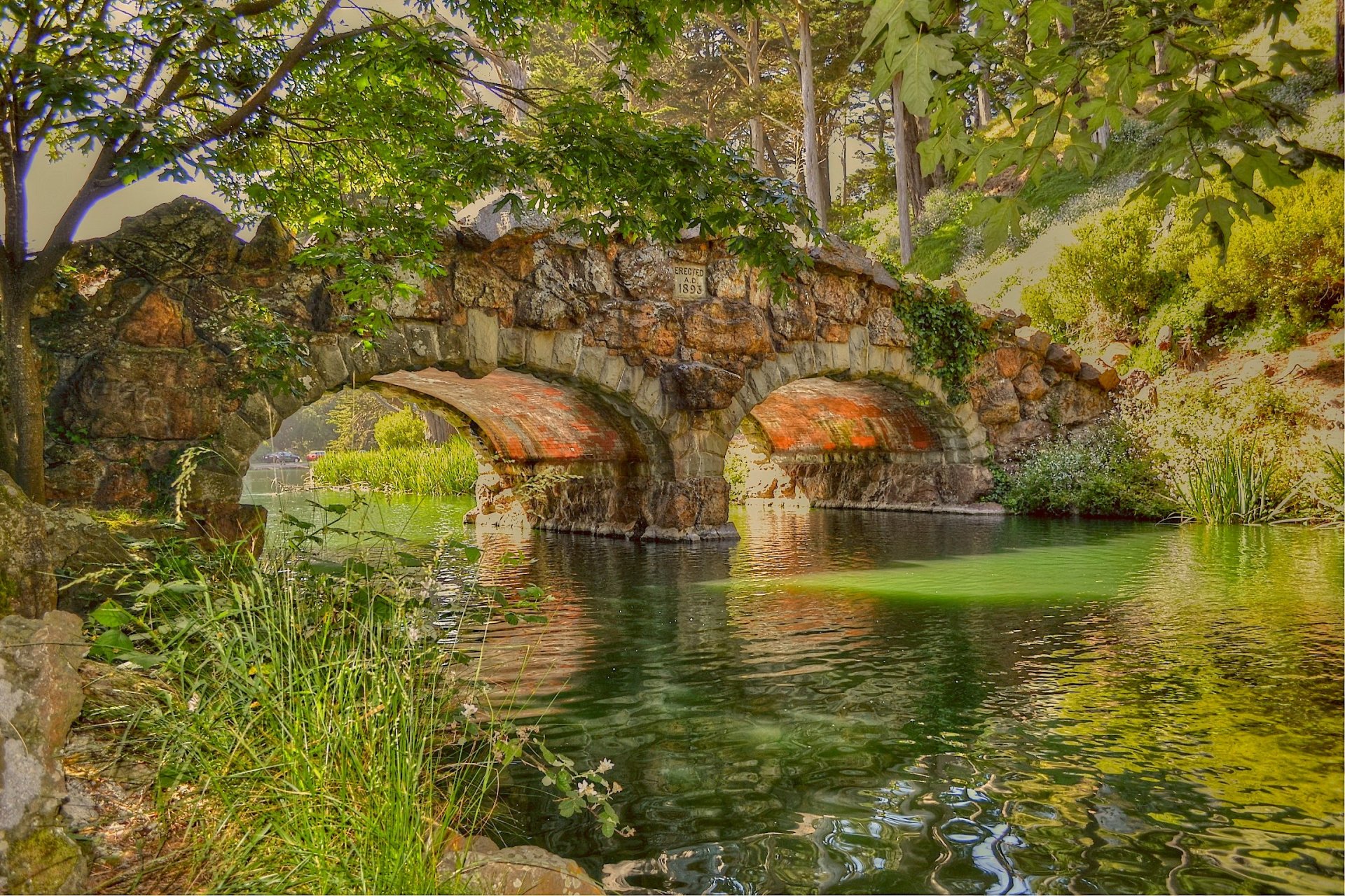 fiume riva ponte pietra alberi fogliame